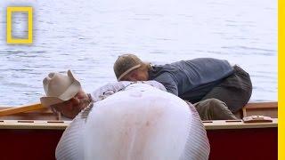 Cowboy in a Boat Ultimate Survival