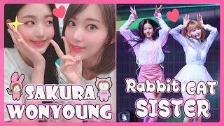 EN SUB IZONE - Sakura ︎ Wonyoung  Cat Rabbit Moments #아이즈원  #アイズワン