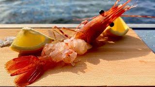 The Best Way To Eat Raw Spot Prawns Shrimp - Amaebi