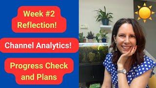 New YouTuber’s Week #2 Reflection  Analytics Progress and Plans