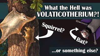 What the Hell was Volaticotherium?