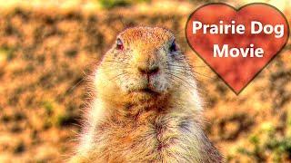 Prairie Dog Movie