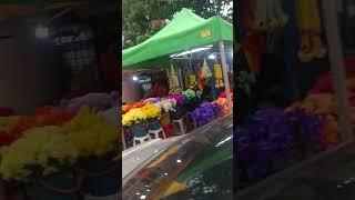 Malaysia flower market #vlog #tamil #malaysia #shorts #short #travel #trending #flowers #flower #fun