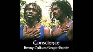 Benny Culture - Vineyard