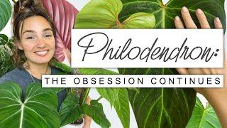 Sorry If You Buy More Plants After This  PHILODENDRON Collection Tour Growth Updates + FUN FACTS 