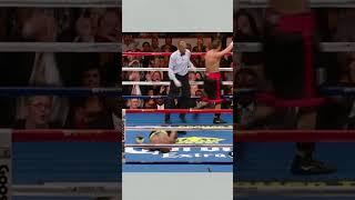 Sergio Martínez brutally knocking out Paul Williams