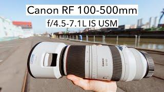 Canon RF 100-500mm f4.5-7.1L IS USM  der Allrounder für im Telebereich Canon EOS R5 & R 4K