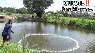 NGGAK NYANGKA JALA IKAN DIKALI MATI TERNYATA BANYAK IKANNYA