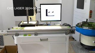 Fully automatic laser marking system