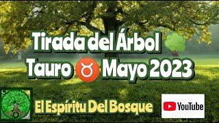 Tirada del árbol TAURO MAYO 2023