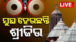 Live  ସୁସ୍ଥ ହେଉଛନ୍ତି ମହାପ୍ରଭୁ  1st July 2024  OTV Live  Odisha TV  OTV