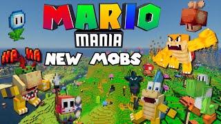 HUGE UPDATE for Mario Mania - Minecraft mod showcase