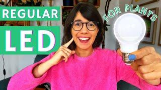 Regular LED lights for plants  GROW LIGHTS FOR HOUSEPLANTS PART 2