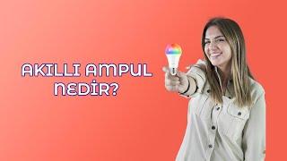 Akıllı Ampul Nedir?  ttec Lumi  İrem Güzey