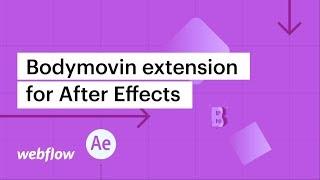 Bodymovin extension for After Effects — After Effects & Lottie in Webflow