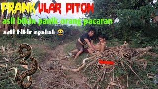 Vidio lucu PRANK ULAR PITON laknat bikin panik orang lagi enak2 pacaran  asli bikin ngakak