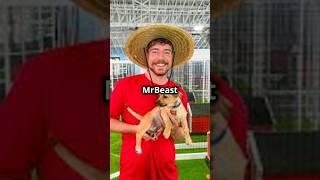 MRBEAST’S Heartwarming Mission to SAVE DOGS   #mrbeast #dog #mrbeastshorts #mrbeastvideo #trending