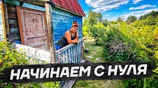 Купили новый участок осваиваем заросшие земли