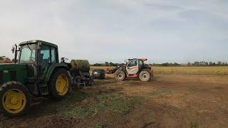 Mowing Baling and Wrapping Westerwold Grass