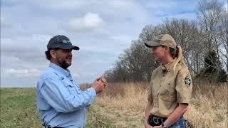 Successful Wild Quail Habitat Management