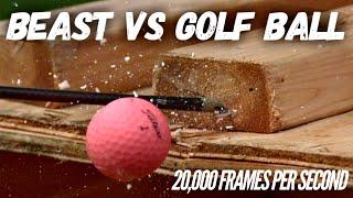 Golf Ball VS BEAST Broadhead in Slow Motion  20000 FPS 