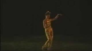 金蛇狂舞 - Golden Snake Dance （古梅）