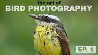 The Art of Bird Photography  Episode 1