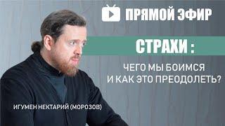 Страхи Чего мы боимся и как это преодолеть Игумен Нектарий