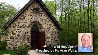 Wild Holy Spirit