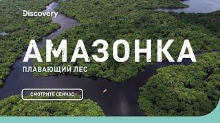 Амазонка плавающий лес  Неизведанные острова  Discovery Channel