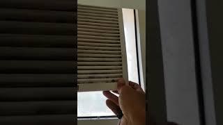 How to open & clean KDK kitchen exhaust fan - كيفية فتح وتنظيف مروحة المطبخ