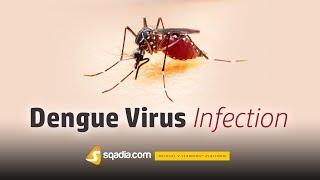 Dengue Virus Infection  Infectious Medicine Animation Video  V-Learning