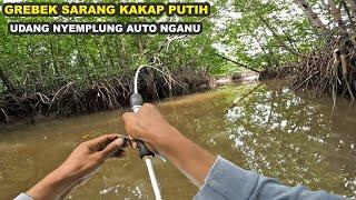 SPOT MANCING IKAN KAKAP PUTIH