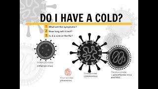 The Common Cold  Timeline of Symptoms
