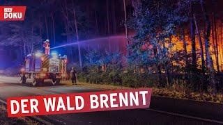 Wald in Flammen - Feuerwehr im Dauereinsatz  Die rbb Reporter  Doku & Reportage