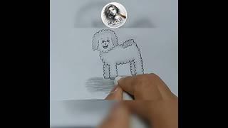 Puppy Drawing #sketchcreative #pencildrawing #drawing #easydrawings #shortsvideo