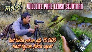 Nikon afp 70-300 test motret wildlife pake lensa sejutaan