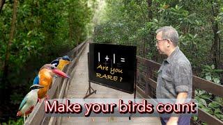 Birding in Singapore - Making your bird count