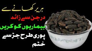 Kali Hareer Ke Fayde Best Treatment For Stomach Pain & Constipation