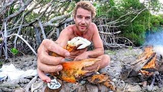 SURVIVAL CHALLENGE Australias Most Defining Shipwreck No Food No Water No Shelter