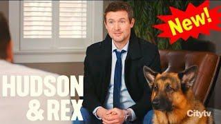 Hudson & Rex NEW Season  Hero By Night Hudson Rex Full Episode 2024