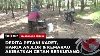 Petani Karet Keluhkan Harga Jual Getah yang Menurun  Nusantara Terkini tvOne