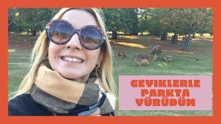 Geyiklerle Birlikte Parkta Yürüdüm  Londra’da Parklar Part 2  Londra Gezi Rehberi  Londra Vlog