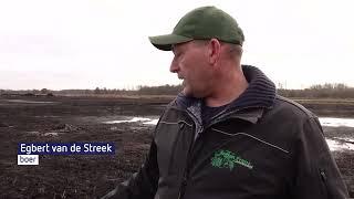 Hier komt veel methaan vrij boeren boos om natuurherstel