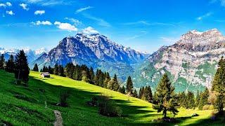 The Majestic Natural Landscapes Of Switzerland  Wild Faces Of Switzerland Marathon