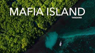 Enchanting Mafia Island TANZANIA Cinematic Film #teamseas