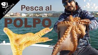 Pesca al polpo dalla barca