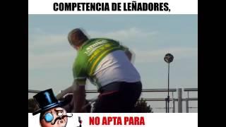 competencia de leñadores machos alfas