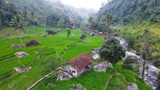 Tak Disangka Seindah Ini Kampung Di Pinggir Sungai. Pemandangan Alam Pedesaan Jawa Barat Garut