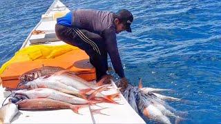 Panen strike ikan kurisi di air dalam